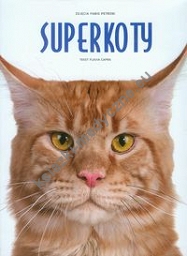 Superkoty