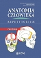 Anatomia człowieka Repetytorium Ćwiczenia