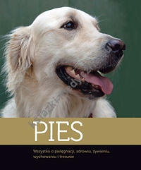 Pies