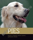 Pies