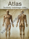 Atlas budowy ludzkiego ciała