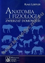 Anatomia i fizjologia zwierząt domowych